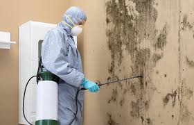 Mold Remediation for Rental Properties in Jupiter Farms, FL